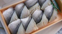 10 Jenis Ikan yang Paling Disukai di Jepang: Dari Sushi hingga Sashimi