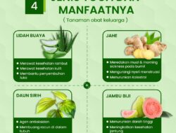 10 Jenis Tanaman Obat dan Manfaat Beserta Gambarnya yang Berguna