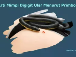 Arti Mimpi Melihat Kulit Ular Menurut Primbon