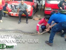 Arti Mimpi Menangkap Ular Menurut Primbon