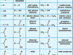 10 Jenis Gugus Fungsi Senyawa yang Ditemukan dalam Reaksi Kimia