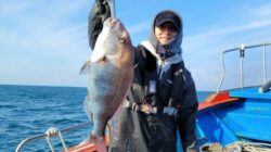 Arti Mimpi Mancing Dapat Ikan Mas Menurut Primbon