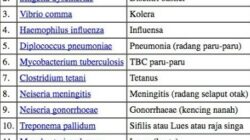 10 Jenis Penyakit yang Disebabkan oleh Bakteri dan Cara Menghindarinya