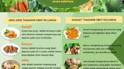 10 Jenis Tanaman Obat Keluarga (TOGA) dan Manfaat Kesehatannya