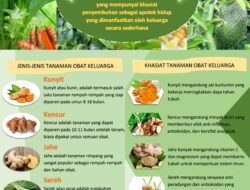 10 Jenis Tanaman Obat Keluarga (TOGA) dan Manfaat Kesehatannya