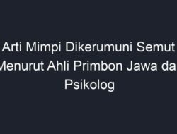 Arti Mimpi Dikerumuni Semut Menurut Primbon