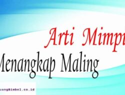 Arti Mimpi Dikejar Maling Menurut Primbon