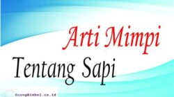 Arti Mimpi Melihat Sapi Ngamuk Menurut Primbon