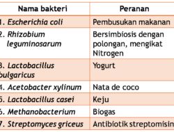 10 Jenis Bakteri Menguntungkan yang Membantu Proses Biologis