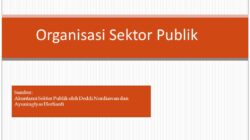 10 Jenis Organisasi Sektor Publik dan Fungsinya