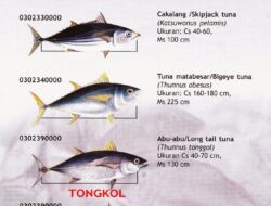 10 Jenis Ikan Ekonomis Penting di Indonesia yang Mendongkrak Perekonomian