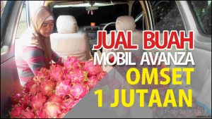 Mobil Avanza: Penjualan Meningkat Pesat!